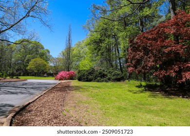 a gorgeous summer landscape in the garden with pink flowers and lush green trees, grass and plants with blue sky at Callaway Gardens in Pine Mountain Georgia USA	 - Powered by Shutterstock