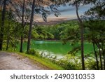 a gorgeous summer landscape at Lake Allatoona with silky green water surrounded by lush green trees, grass and plants with blue sky and clouds at Red Top Mountain State Park in Acworth Georgia USA	