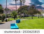 a gorgeous summer landscape in the park with lush green palm trees and grass, purple trees and people relaxing on the grass with a clear blue sky at MacArthur Park in Los Angeles California USA