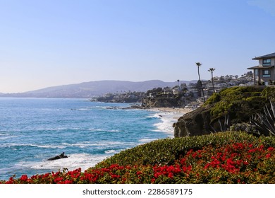 a gorgeous summer landscape at Treasure Island Beach with ocean water and waves, people relaxing in the sand, palm trees, plants and colorful flowers along the hillside with blue sky in Laguna Beach