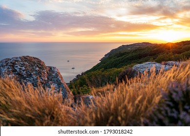 Gorgeous sunset at Kullaberg nature reserve in south Sweden. Blurred foreground. Selective focus. - Shutterstock ID 1793018242