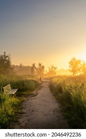 A Gorgeous Vertical Shot Of A Little Road In A Tall Grass Field With A Bench And A Beautiful Sunset