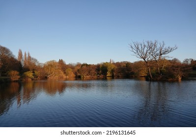 A Gorgeous View Of Lake Meadows Park In Billericay, Essex, UK On A Clear Spring Day.