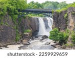 A gorgeous view of lush green trees surrounding a bridge at the Paterson Great Falls National Historical Park