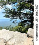 Gorgeous view of the sky through the trees up on Cheaha Mountain.