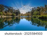 gorgeous view of the vast still green lake water and the lush green trees and plants at Kenneth Hahn Park in Los Angeles California	