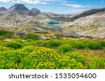 Gorgeous views of wildflowers and mountains in the Wind River Range of Wyoming