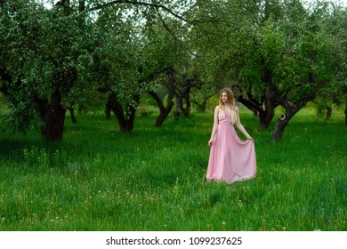 Gorgeous Young Lady Pink Dress Pretty Stock Photo 1099237625 | Shutterstock