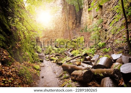Gorges du loup or Wolfsschlucht on the Mullerthal trail near Echternach in Luxembourg, canyon with sandstone rock formation 