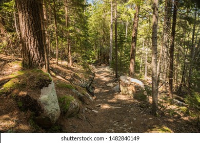 Gorham Mountain Hiking Trail In Acadia National Park