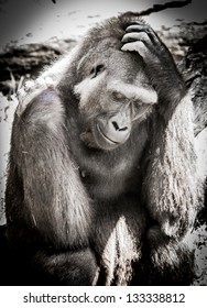 Gorilla At Audubon Zoo - Praline B/W