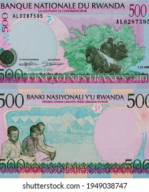 Gorilla Family Portrait From Rwanda 500 Francs 1998 Banknotes.