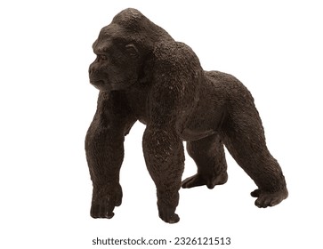 gorilla on white background png