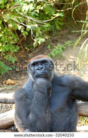 Similar – Image, Stock Photo Those who sit higher can fall lower