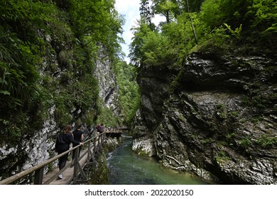 Gorjeslovenija08032021tourist Hikers Visit Vintgar Gorge Named Stock ...