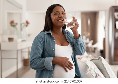 Got to stay hydrated for good health. Portrait of a pregnant woman drinking a glass of water at home.