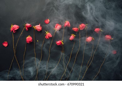 Goth Style Dry Roses, Black Background With Smoke