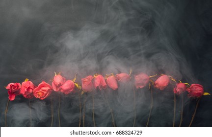 Goth Style Dry Roses, Black Background With Smoke