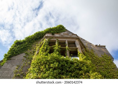 Gothic bay window covered in ivy on an empty manor house  - Powered by Shutterstock