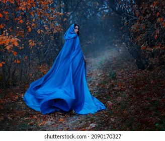 Gothic mysterious woman walks in fantasy autumn forest. long silk blue cloak flutters, waving fly in wind, fabric in motion. Head hood. Girl princess looks back. Fallen orange leaves dark trees, fog - Shutterstock ID 2090170327