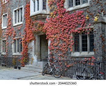 Gothic Style Stone College Building Covered With Ivy In Brilliant Fall Colors