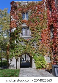 Gothic Style Stone College Building Covered With Ivy In Brilliant Fall Colors