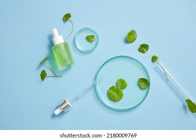Gotu kola extract and cosmetic jar  - Shutterstock ID 2180009769