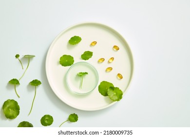 Gotu kola extract using in cosmetic for benefit on skin care , white background and cosmetic jar with petri dish , nature cosmetic content - Shutterstock ID 2180009735