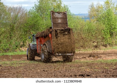 GOULT, NORMANDY, FRANCE - April 23, 2018: A farmer using a manure spreader behind his tractor to spread an organic mixture of manure and hay on his land for fertilisation.