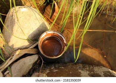 Gourd Of Raw Cacao In Stagnant Water Near Grey Stone And Grass