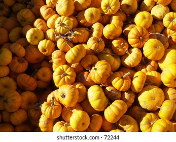 Gourds