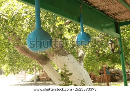 
Gourds painted and used for garden decoration. Traditional decoration method. Gourds are also used as water containers. Türkiye, Mediterranean style. (Lavabo:sink) Turkish dried pumpkins