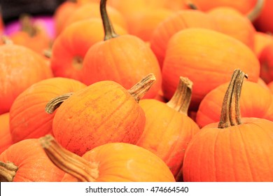 Gourds And Pumpkins On A Farmstand Table In Autumn