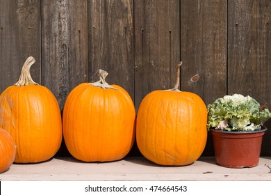 Gourds And Pumpkins On A Farmstand Table In Autumn