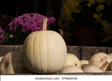 Gourds And Pumpkins On A Farmstand Table In Autumn