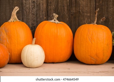 Gourds And Pumpkins On A Farmstand Table In Autumn