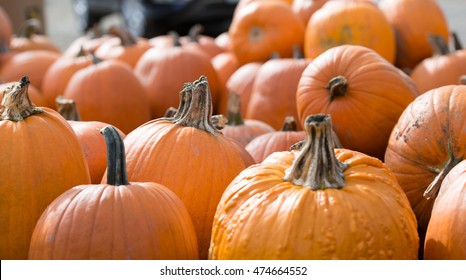 Gourds And Pumpkins On A Farmstand Table In Autumn