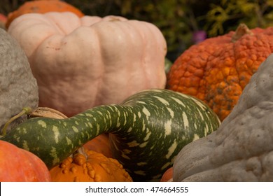 Gourds And Pumpkins On A Farmstand Table In Autumn