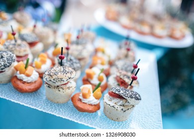 Gourmet appetizers for festive reception and high-end weddings