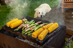 Gourmet Barbecue. Grill Veggies - Corn, Asparagus With Bacon And Prosciutto. Golden Retriever Napping During Family Barbecue In The Backstage Of Summer Terrace.