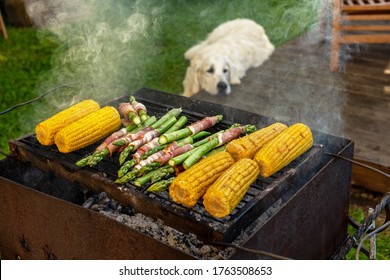 Gourmet Barbecue. Grill Veggies - Corn, Asparagus With Bacon And Prosciutto. Golden Retriever Napping During Family Barbecue In The Backstage Of Summer Terrace.