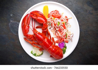 Gourmet Lobster Dinner. Italian Restaurant. Menu. Free Space For Text