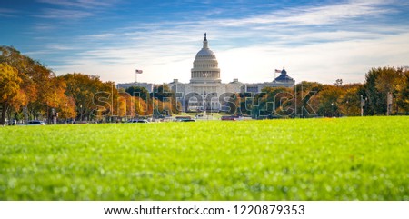 Goverment Capitol building in Washington DC with autumn park and green floor and blue sky , USA, United States of America 