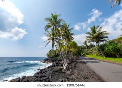 Government Beach Road,Pahoa,Big Island Hawaii