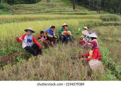 650 Indonesia farming together Images, Stock Photos & Vectors ...