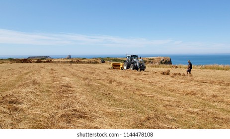 Gower, Wales, UK: July 26, 2018: A Tractor Pulling Agricultural Machinery Bales Straw While Farm Workers Clear The Bales At Rhossili On The Gower Peninsular In A Panoramic Format.