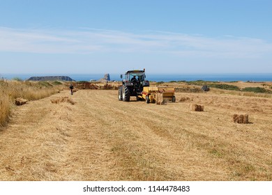 Gower, Wales, UK: July 26, 2018: A Tractor Pulling Agricultural Machinery Bales Straw While Farm Workers Clear The Bales At Rhossili On The Gower Peninsular.