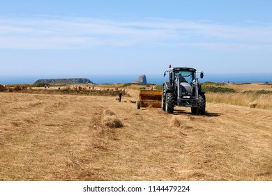 Gower, Wales, UK: July 26, 2018: A Tractor Pulling Agricultural Machinery Bales Straw While Farm Workers Clear The Bales At Rhossili On The Gower Peninsular.