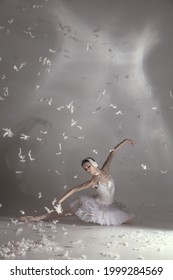 Grace, Tender. Young Graceful Beautiful Woman, Balerina In Image Of White Swan With Feathers In Art Performance Isolated On White Background.