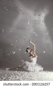 Grace, Tender. Young Graceful Beautiful Woman, Balerina In Image Of White Swan With Feathers In Art Performance Isolated On White Background.